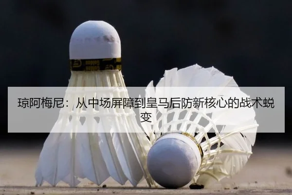 qiong-a-mei-ni-cong-zhong-chang-ping-zhang-dao-huang-ma-hou-fang-xin-he-xin-de-zhan-shu-tui-bian-2-733.jpg